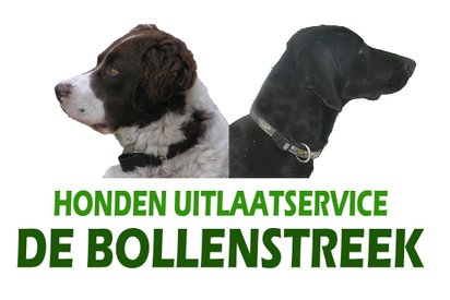 Hondenuitlaatservice de Bollenstreek